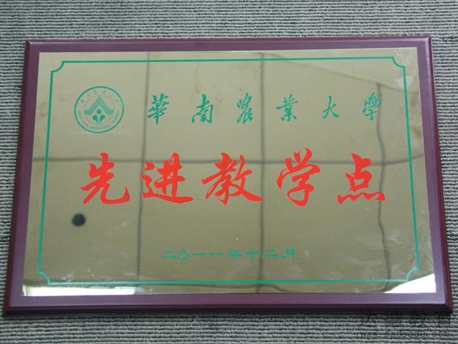 2011ArIWMλ